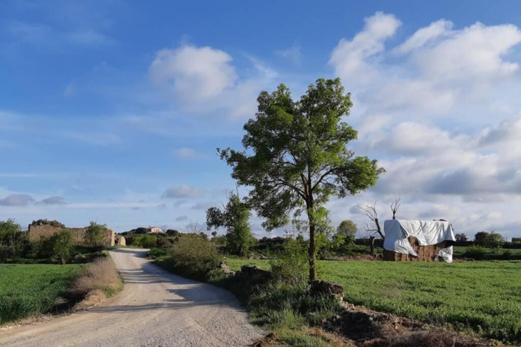 Cal Bello Casa Rural Lleida Exteriör bild