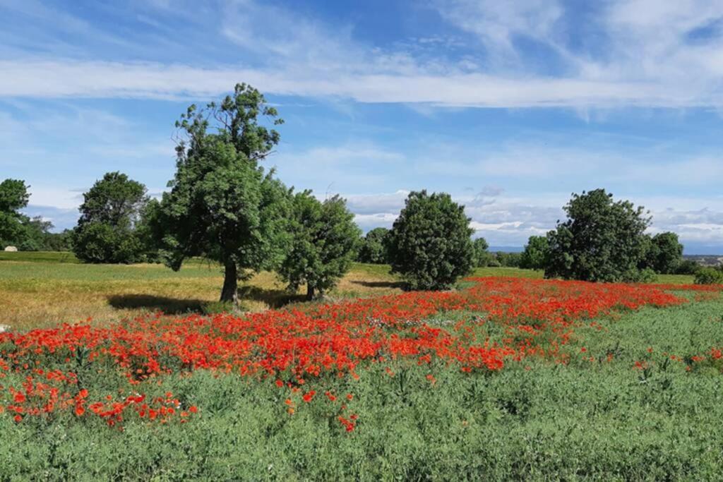 Cal Bello Casa Rural Lleida Exteriör bild